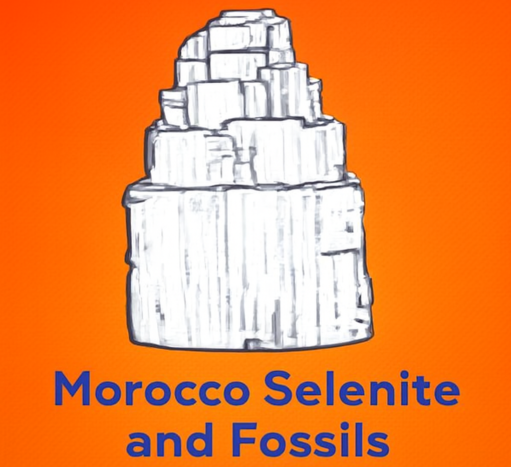 Morocco Fossil MineRALS